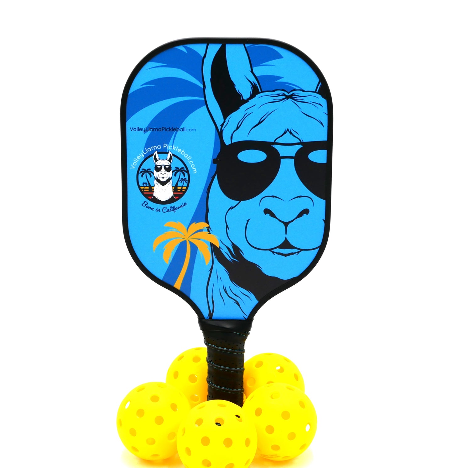 California Dreamin' Pickleball Paddles for Beginners