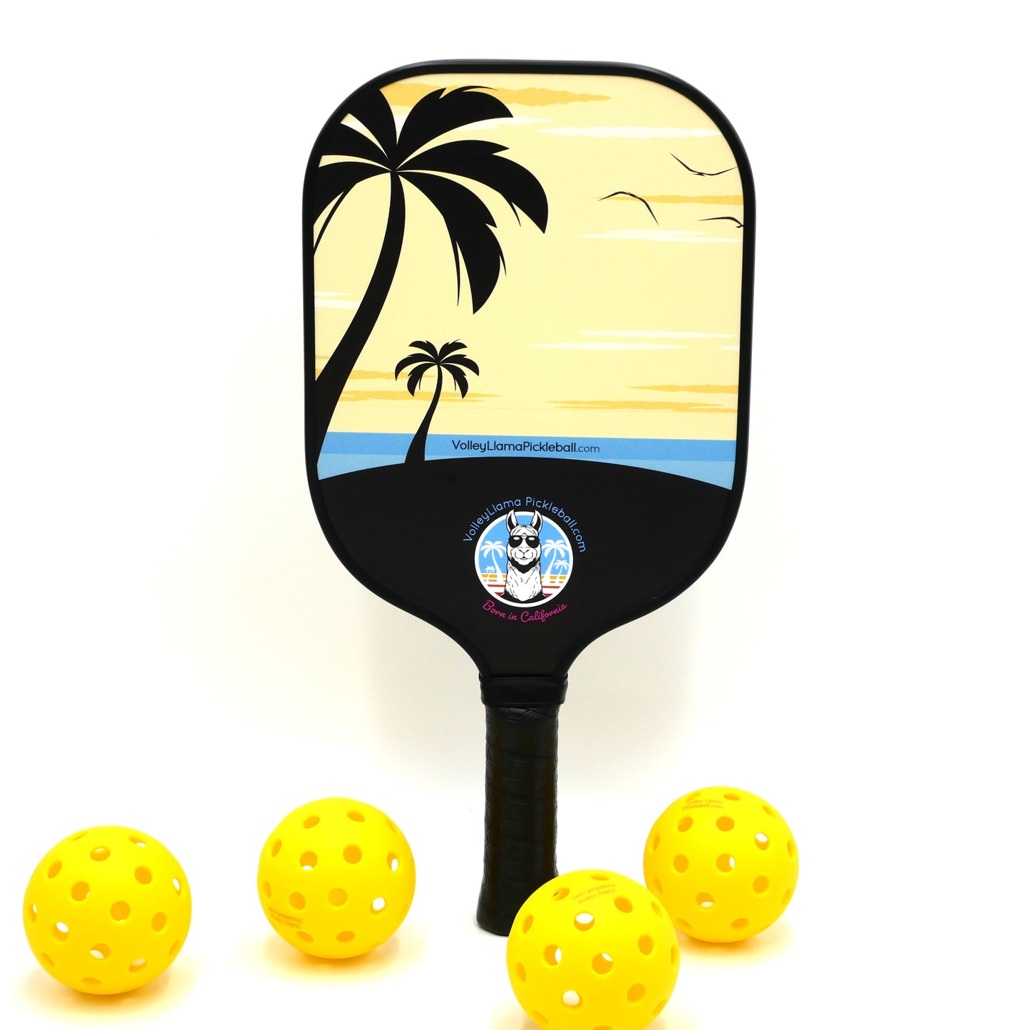 Life's a Beach Best Intermediate Pickleball Paddle