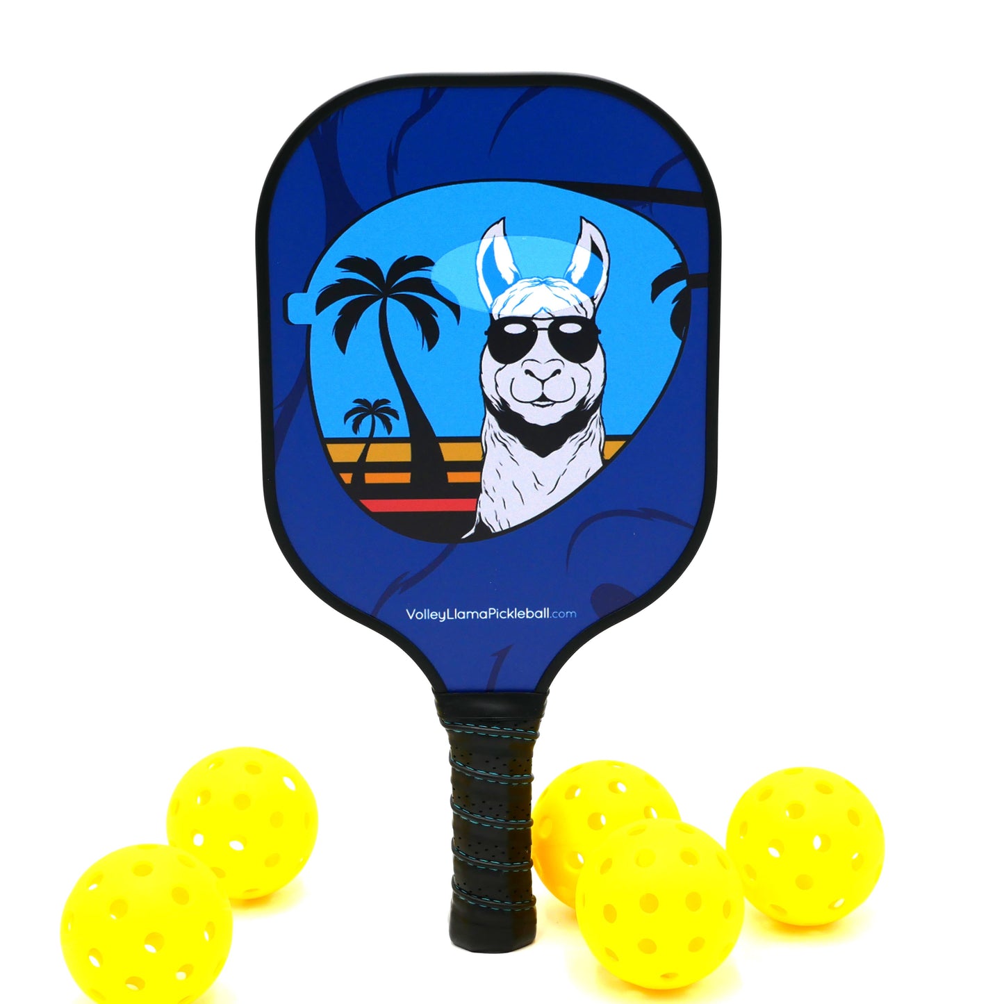 Made in the Shade Blue Pickleball Paddles for Beginners